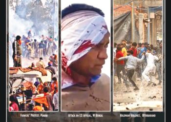 Organiser – 2024 February 25