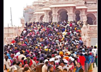 Organiser – 2025 January 12