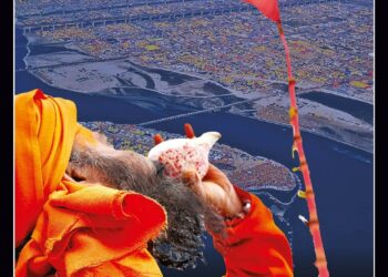 Organiser – 2025 January 19