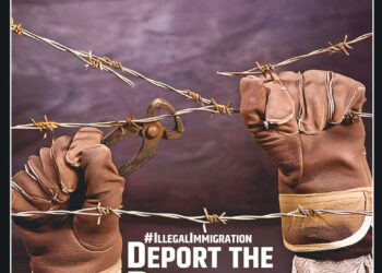 Organiser – 2025 February 09