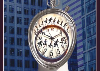 Organiser – 2025 February 23